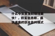 什么小生意发财赚钱最快?,致富新思路,最快速度的创业盈利模式
