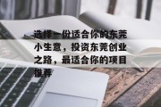 选择一份适合你的东莞小生意，投资东莞创业之路，最适合你的项目推荐
