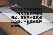 从小生意的互联网赚钱，一种无法复制的成功模式，互联网小生意成功之路，一套简单易行的策略