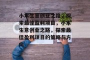 小本生意创业之路,探索最佳盈利项目,小本生意创业之路,探索最佳盈利项目的策略与方向 小本生意创业之路,探索最佳盈利项目,小本生意创业之路,探索最佳盈利项目的策略与方向