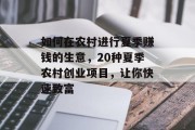 如何在农村进行夏季赚钱的生意,20种夏季农村创业项目,让你快速致富 如何在农村进行夏季赚钱的生意,20种夏季农村创业项目,让你快速致富
