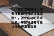 小小生意也能赚钱,哪些项目最有可能让你发财?,创业成功的关键因素,哪些项目有可能让你快速发家致富