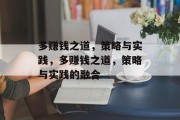 多赚钱之道，策略与实践，多赚钱之道，策略与实践的融合
