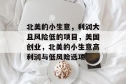北美的小生意，利润大且风险低的项目，美国创业，北美的小生意高利润与低风险选项