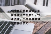小生意的暴利领域,如何抓住这个机会?,快速创业,小生意暴利领域的秘密技巧 小生意的暴利领域,如何抓住这个机会?,快速创业,小生意暴利领域的秘密技巧