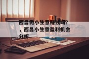 西昌做小生意赚钱吗?,西昌小生意盈利机会分析