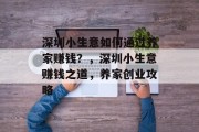 深圳小生意如何通过养家赚钱?,深圳小生意赚钱之道,养家创业攻略