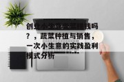 创业小生意卖菜赚钱吗?,蔬菜种植与销售,一次小生意的实践盈利模式分析 创业小生意卖菜赚钱吗?,蔬菜种植与销售,一次小生意的实践盈利模式分析