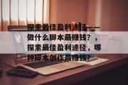 探索最佳盈利途径——做什么脚本最赚钱?,探索最佳盈利途径,哪种脚本创作最赚钱?
