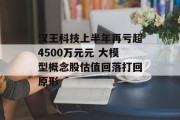 汉王科技上半年再亏超4500万元元 大模型概念股估值回落打回原形 汉王科技上半年再亏超4500万元元 大模型概念股估值回落打回原形