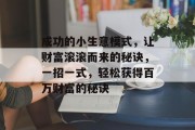成功的小生意模式,让财富滚滚而来的秘诀,一招一式,轻松获得百万财富的秘诀
