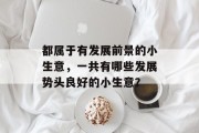 都属于有发展前景的小生意,一共有哪些发展势头良好的小生意?