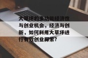 大草坪的多功能经济性与创业机会,经济与创新,如何利用大草坪进行有效创业探索?