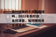 农村好做的小生意赚钱吗,2022年农村创业好项目,如何赚钱并实现成功? 农村好做的小生意赚钱吗,2022年农村创业好项目,如何赚钱并实现成功?