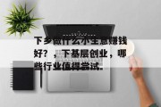 下乡做什么小生意赚钱好?,下基层创业,哪些行业值得尝试