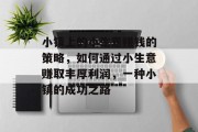 小镇上的小生意赚钱的策略,如何通过小生意赚取丰厚利润,一种小镇的成功之路 小镇上的小生意赚钱的策略,如何通过小生意赚取丰厚利润,一种小镇的成功之路