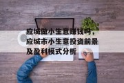 应城做小生意赚钱吗,应城市小生意投资前景及盈利模式分析