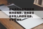 吉林省的小生意创业赚钱项目推荐,吉林省适合年轻人的创业项目,小生意赚钱