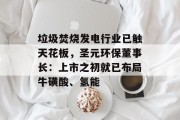 垃圾焚烧发电行业已触天花板,圣元环保董事长:上市之初就已布局牛磺酸、氢能