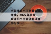 当前什么小生意最火爆赚钱,2022年最受欢迎的小生意创业项目排行榜