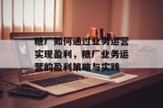 糖厂如何通过业务运营实现盈利，糖厂业务运营的盈利策略与实践