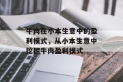 牛肉在小本生意中的盈利模式,从小本生意中挖掘牛肉盈利模式 牛肉在小本生意中的盈利模式,从小本生意中挖掘牛肉盈利模式