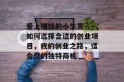 爱上赚钱的小生意——如何选择合适的创业项目,我的创业之路,适合您的独特商机 爱上赚钱的小生意——如何选择合适的创业项目,我的创业之路,适合您的独特商机