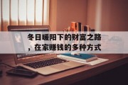 冬日暖阳下的财富之路,在家赚钱的多种方式