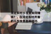 河北农村小生意如何赚钱?,在河北农村开展的小型生意盈利技巧 河北农村小生意如何赚钱?,在河北农村开展的小型生意盈利技巧