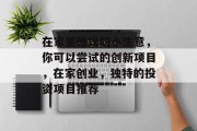 在家里赚钱的小生意,你可以尝试的创新项目,在家创业,独特的投资项目推荐 在家里赚钱的小生意,你可以尝试的创新项目,在家创业,独特的投资项目推荐