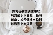  如何在县城创业赚取利润的小本生意，县城创业，如何低成本盈利的微型小本生意