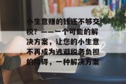 小生意赚的钱还不够交税?——一个可能的解决方案,让您的小生意不再成为逃避税务负担的障碍,一种解决方案