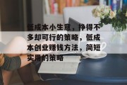 低成本小生意,挣得不多却可行的策略,低成本创业赚钱方法,简短实用的策略