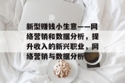 新型赚钱小生意——网络营销和数据分析，提升收入的新兴职业，网络营销与数据分析