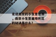走进南京的小生意世界,南京小生意遍地开花的秘诀是什么? 走进南京的小生意世界,南京小生意遍地开花的秘诀是什么?