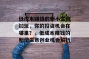 低成本赚钱的新小生意加盟,你的投资机会在哪里?,低成本赚钱的新型生意创业机会解析 低成本赚钱的新小生意加盟,你的投资机会在哪里?,低成本赚钱的新型生意创业机会解析