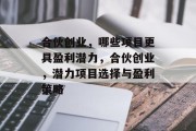 合伙创业,哪些项目更具盈利潜力,合伙创业,潜力项目选择与盈利策略 合伙创业,哪些项目更具盈利潜力,合伙创业,潜力项目选择与盈利策略
