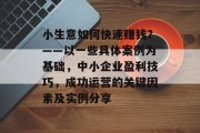 小生意如何快速赚钱？——以一些具体案例为基础，中小企业盈利技巧，成功运营的关键因素及实例分享