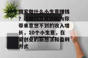 回家做什么小生意赚钱?这些创意或许能为你带来意想不到的收入增长,10个小生意,在家创业的新想法和盈利方式 回家做什么小生意赚钱?这些创意或许能为你带来意想不到的收入增长,10个小生意,在家创业的新想法和盈利方式