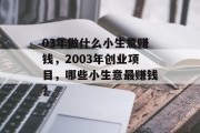 03年做什么小生意赚钱,2003年创业项目,哪些小生意最赚钱? 03年做什么小生意赚钱,2003年创业项目,哪些小生意最赚钱?