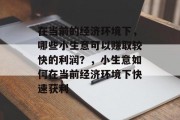 在当前的经济环境下,哪些小生意可以赚取较快的利润?,小生意如何在当前经济环境下快速获利 在当前的经济环境下,哪些小生意可以赚取较快的利润?,小生意如何在当前经济环境下快速获利