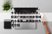广州的新兴创业领域，小生意赚钱的好方法，投资广州新兴创业领域的小生意，优质盈利方法介绍