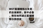 WGT直播赚钱小生意的全面解析,新手必备,教你如何通过直播赚取小钱创业 WGT直播赚钱小生意的全面解析,新手必备,教你如何通过直播赚取小钱创业