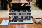 探索10元小生意,如何在10元的预算内赚取财富,10元小生意创业赚钱,寻找实现财富增长的途径