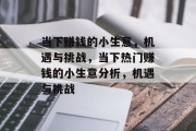 当下赚钱的小生意,机遇与挑战,当下热门赚钱的小生意分析,机遇与挑战 当下赚钱的小生意,机遇与挑战,当下热门赚钱的小生意分析,机遇与挑战