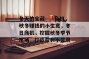 冬天的宝藏——商机,秋冬赚钱的小生意,冬日商机,挖掘秋冬季节市场,打造盈利小生意 冬天的宝藏——商机,秋冬赚钱的小生意,冬日商机,挖掘秋冬季节市场,打造盈利小生意