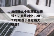 当今什么小生意最火赚钱?,网络创业,2023年哪些小生意最火赚钱?