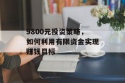 9800元投资策略,如何利用有限资金实现赚钱目标 9800元投资策略,如何利用有限资金实现赚钱目标