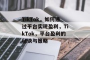 TikTok,如何通过平台实现盈利,TikTok,平台盈利的秘诀与策略 TikTok,如何通过平台实现盈利,TikTok,平台盈利的秘诀与策略