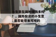 小生意在国外赚钱多吗？，国外投资的小生意: 是否能带来可观的回报?